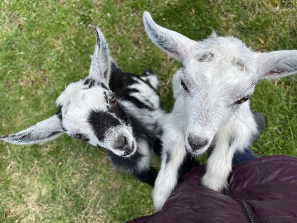 Cute black and white Kids